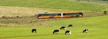 Trem dos Pampas + Compras em Rivera